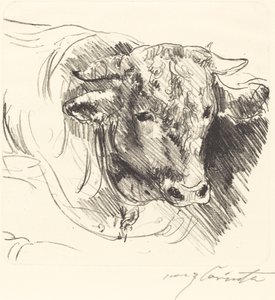スティアコプフ Head of a Steer, 1912年。 作： Lovis Corinth