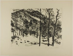 山の中の早春からの谷 作： Lovis Corinth