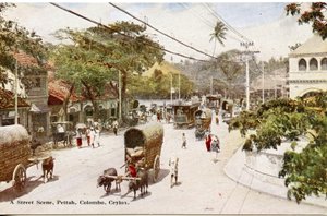 A Street Scene、Pettah、Colombo、Ceylon、c.1900-20（手描きの写真） 作： Ltd. Ceylon Plâté