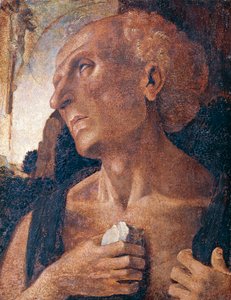 ルカ・シニョレッリ作とされる聖ジェローム（1441年頃、1450年頃～1523年頃） 作： Luca (attr.to) Signorelli