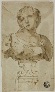 女性のバスト 作： Luca Cambiaso
