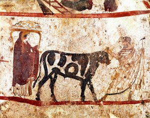 犠牲の祭壇に先導する雄牛。イタリア、パエストゥムのアンドリウオロのネクロポリスから出土した紀元前4世紀のルカニアのフレスコ画。イタリア国立考古学博物館、パエストゥム 作： Lucanian School