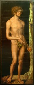 アダム 作： Lucas Cranach the Elder