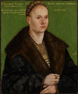 人道主義者クリストフ・ショールの肖像 作： Lucas Cranach the Elder