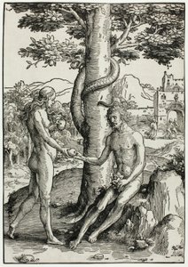 アダムとイブ (人間の堕落) 作： Lucas van Leyden