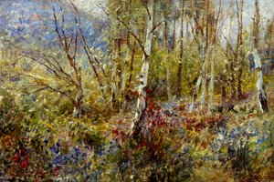 Woodland, de Ludovico Cavaleri (1867-1942), óleo sobre painel, 50x75 cm 作： Ludovico Cavaleri