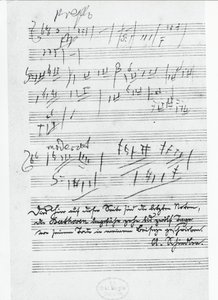 ドイツの作曲家ルートヴィヒ・ヴァン・ベートーヴェン（1770-1827）が書いた曲の最後のページ。 作： Ludwig van Beethoven