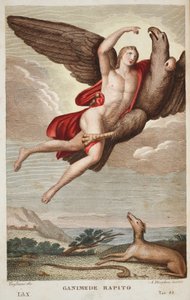 天国またはガニメード・ラピートに持ち込まれたガニメデ、Book X、Ovid&39;s Metamorphoses、フィレンツェ、1832年のイラスト（手彩色の彫刻） 作： Luigi Ademollo