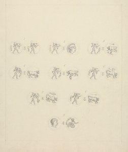 ポジドニア1期