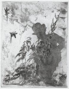瞑想的な生活 作： Luigi Conconi