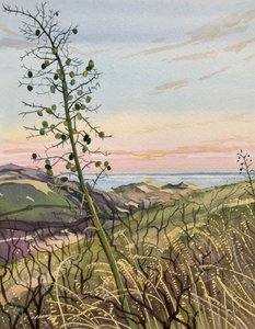 海岸の植物、夕日の景色 作： 