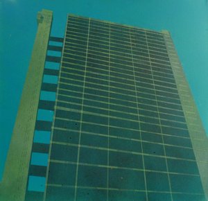 ゴールドフィンガーの遺産 III, 2015 ( キャンバスにアクリル、インク) 作： ルーク・M・ウォーカー
