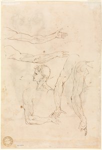 1500年代半ばの5本の腕と頭のスケッチ。
