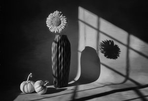秋のひまわりの静物画 作： Lydia Jacobs