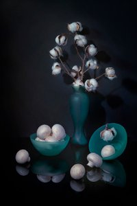 「綿とキノコの静物画」 作： Lydia Jacobs