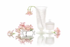 優雅なピンクの花の映り込み