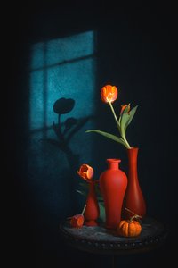  作： Lydia Jacobs