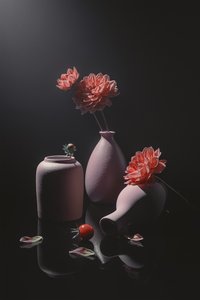静かなピンクの花々の静物画 作： Lydia Jacobs