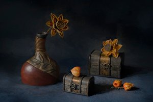 素朴な植物のディスプレイ 作： Lydia Jacobs