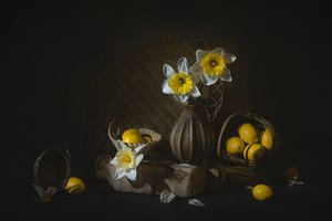  作： Lydia Jacobs