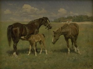 フィールドに 3 頭の馬
