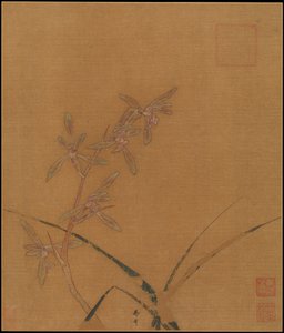 蘭の花、13世紀第2四半期