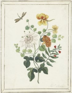 花の静物 作： Machtelt Moninckx