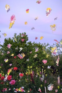 抽象化された花、2019年（アーカイバル顔料プリントにアクリル絵の具） 作： Madeleine Gross