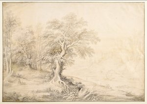 河川景観 作： Maerten de Cock