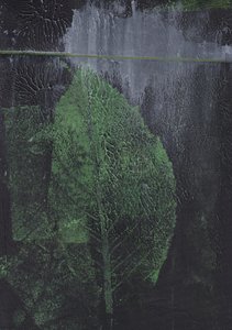 「緑の葉」の要約 作： Maira Ribena