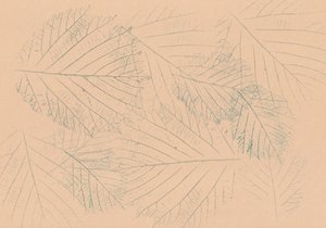 植物の葉の模様 作： Maira Ribena
