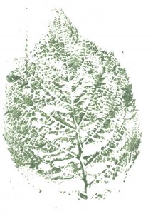 植物の葉のプリント 作： Maira Ribena