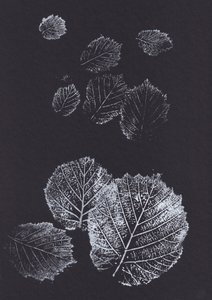植物の葉のプリント 作： Maira Ribena