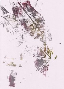 素朴で植物的な印象 作： 