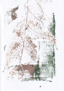 素朴なシダの印象 作： 