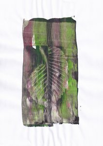 土の香りのする葉の印象