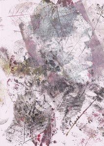 色あせた植物図譜 作： 
