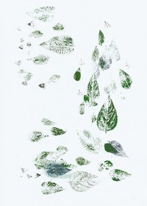 舞い落ちる緑の葉