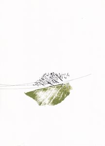 緑の葉と裸の枝