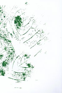 繊細な葉の模様 作： Maira Ribena