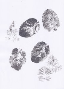 ミントの葉の型押し 作： Maira Ribena