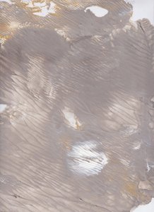 静寂の土流 作： 