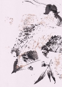 静謐なインクの葉 作： 