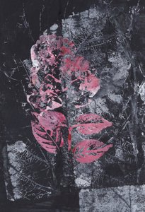 質感あふれるピンクの花