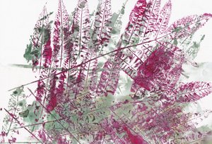 鮮やかな植物のシダ