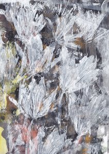 白い花の咲き誇る 作： Maira Ribena