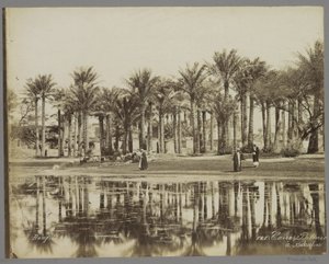 Bedrechen の水のそばのヤシの木の下でヤギを持つ男性 Caire, Palmie[(...)] à Bedrecken (オブジェクトのタイトル) 作： Maison Bonfils