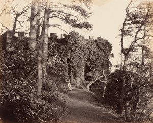 1860年代、セヴァンのウィンターダインにて（写真） 作： フランシス・グレズリー少佐