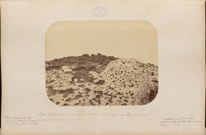 ハゲワシに貫かれたペルナンブーコ岩礁の外側の石灰質部分 作： マーク・フェレス