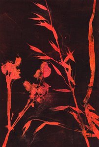 赤い葉、2024年（モノタイプ） 作： マルコ・カンペデッリ